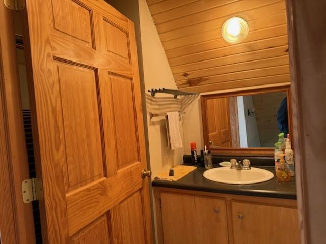40171 Clitherall Lake Rd, Clitherall Twp, MN 56524 - bathroom with vanity and vaulted ceiling