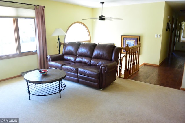 living area with ceiling fan, carpet, baseboards, and wood finished floors