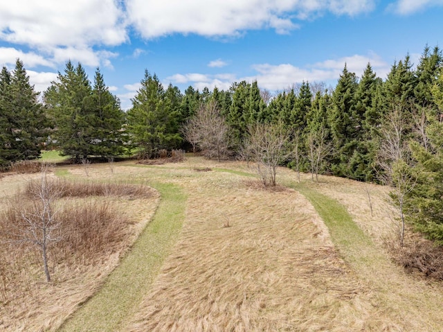 2765 Fraser St, La Prairie, MN 55744 - exterior space