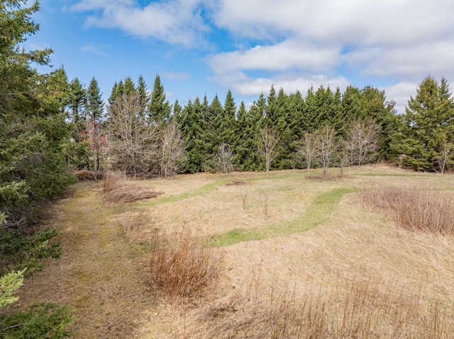 2765 Fraser St, La Prairie, MN 55744 - view of local wilderness