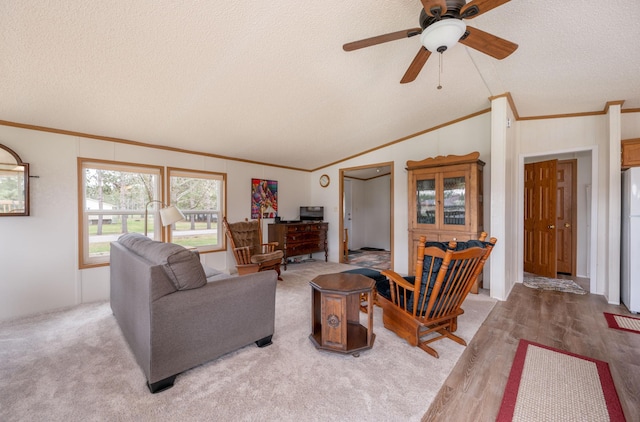 2765 Fraser St, La Prairie, MN 55744 - living room featuring crown molding, a textured ceiling, and vaulted ceiling