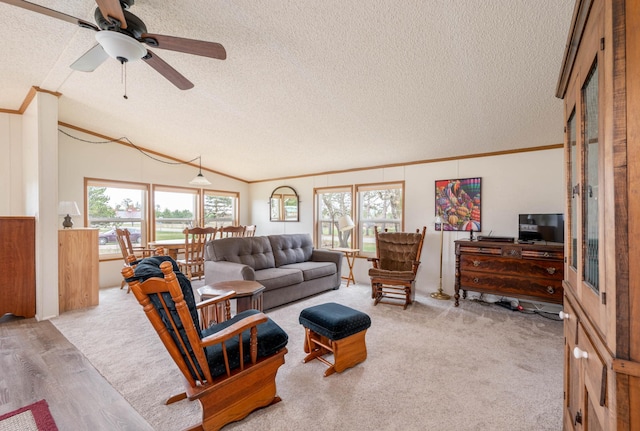 2765 Fraser St, La Prairie, MN 55744 - living room featuring ornamental molding, a textured ceiling, and a healthy amount of sunlight