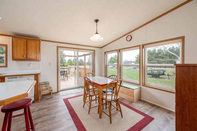 2765 Fraser St, La Prairie, MN 55744 - dining room featuring plenty of natural light, ornamental molding, a textured ceiling, and lofted ceiling