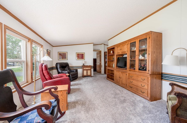 2765 Fraser St, La Prairie, MN 55744 - living room featuring light colored carpet, ornamental molding, and a textured ceiling