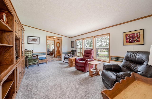 2765 Fraser St, La Prairie, MN 55744 - carpeted living area with a textured ceiling, ornamental molding, and lofted ceiling