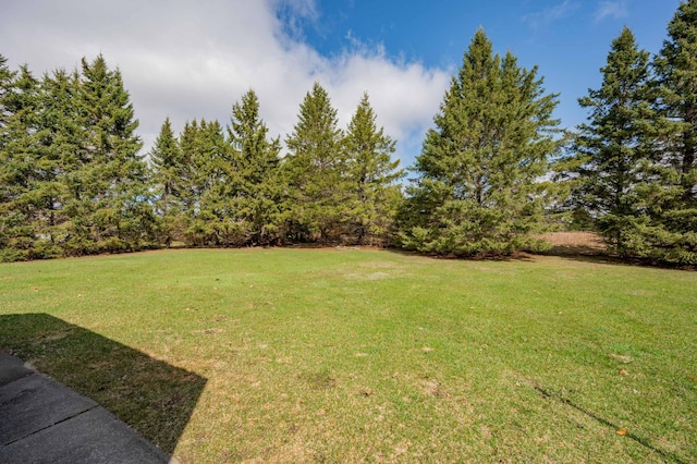 2765 Fraser St, La Prairie, MN 55744 - view of yard