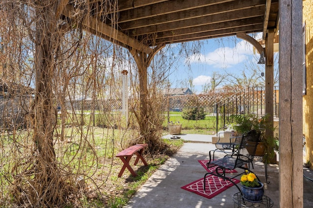 1100 Summit Ave, Saint Paul Park, MN 55071 - view of patio