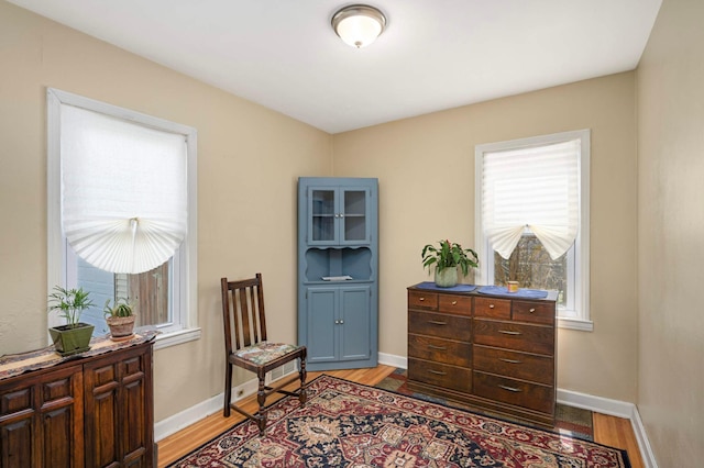 1100 Summit Ave, Saint Paul Park, MN 55071 - living area with light wood-style flooring and baseboards
