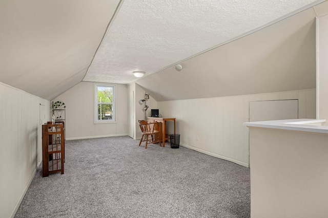 1100 Summit Ave, Saint Paul Park, MN 55071 - additional living space featuring vaulted ceiling, carpet, a textured ceiling, and a desk