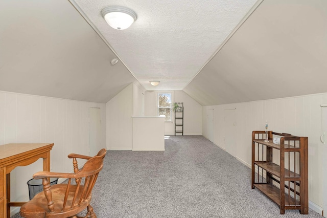 1100 Summit Ave, Saint Paul Park, MN 55071 - bonus room with carpet floors, a textured ceiling, and vaulted ceiling