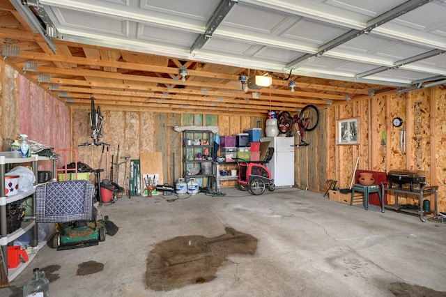1100 Summit Ave, Saint Paul Park, MN 55071 - garage with a garage door opener