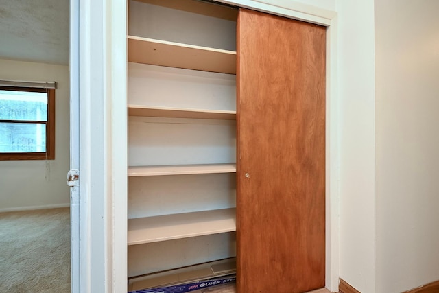view of closet