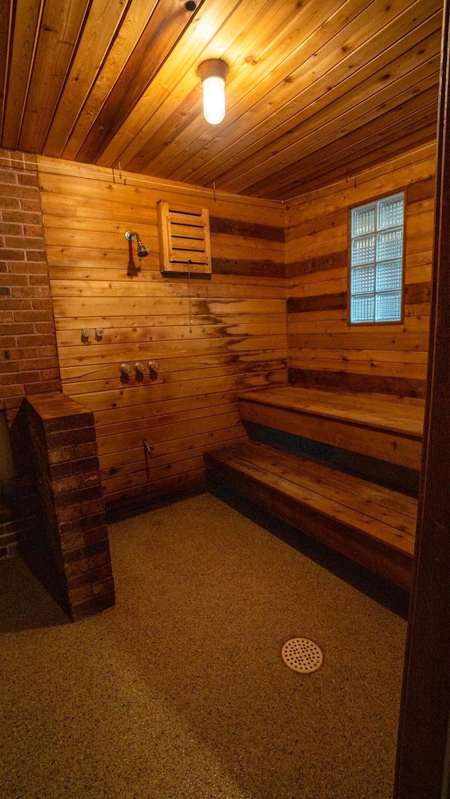 35873 Drumbeater Rd, Cohasset, MN 55721 - relaxing sauna featuring wood ceiling, wooden walls, and carpet flooring