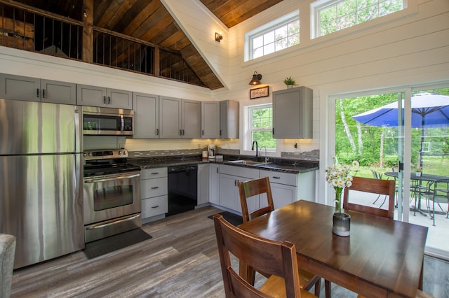 29133 Neighborly Dr, Laporte, MN 56461 - kitchen featuring appliances with stainless steel finishes, gray cabinetry, dark countertops, healthy amount of natural light, and lofted ceiling