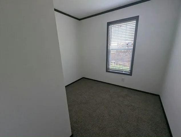 133 Maple Dr, Mankato, MN 56001 - spare room with crown molding and carpet flooring