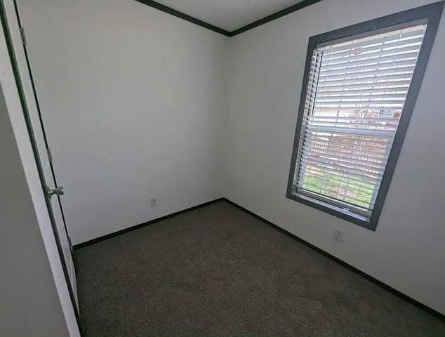 133 Maple Dr, Mankato, MN 56001 - carpeted empty room featuring crown molding and baseboards