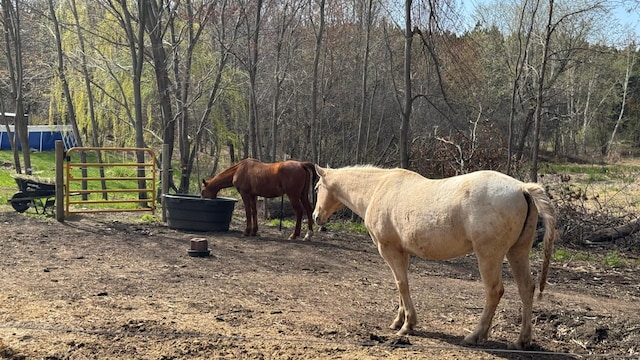view of horse barn featuring a wooded view
