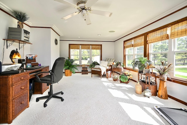 carpeted office space featuring crown molding, baseboards, and a healthy amount of sunlight