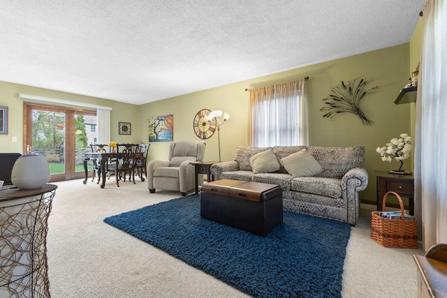 10851 Olive St NW, Coon Rapids, MN 55448 - carpeted living area with a textured ceiling