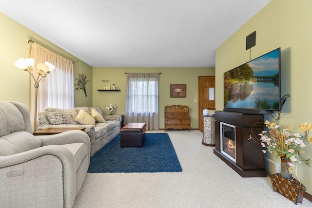 10851 Olive St NW, Coon Rapids, MN 55448 - carpeted living area featuring a textured ceiling and a glass covered fireplace