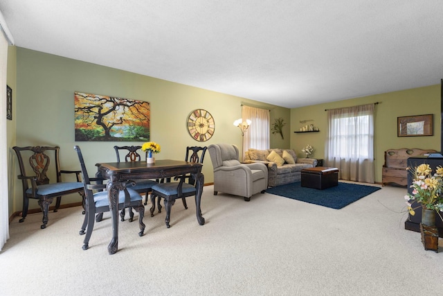 10851 Olive St NW, Coon Rapids, MN 55448 - living room featuring light colored carpet