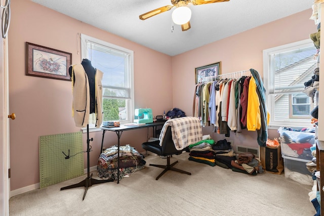 10851 Olive St NW, Coon Rapids, MN 55448 - carpeted home office with healthy amount of natural light, ceiling fan, and baseboards