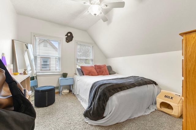 10851 Olive St NW, Coon Rapids, MN 55448 - carpeted bedroom with lofted ceiling, a ceiling fan, and baseboards