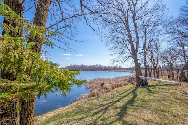 4301 195th Ave NE, New London Twp, MN 56273 - photo 8