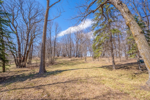 4301 195th Ave NE, New London Twp, MN 56273 - photo 51