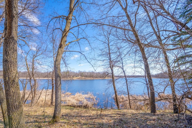 4301 195th Ave NE, New London Twp, MN 56273 - photo 54