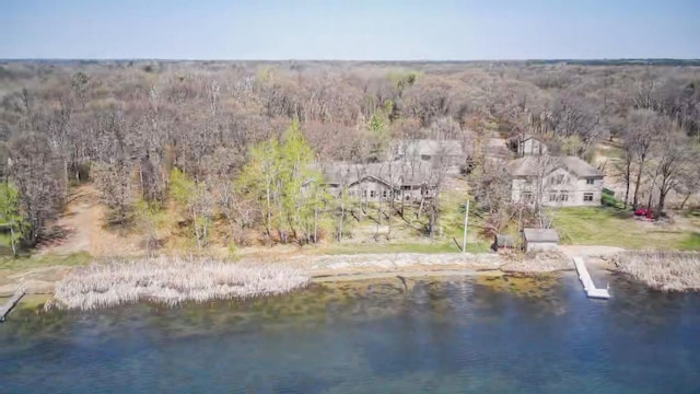 5301 Pine Beach Rd, Brainerd, MN 56401 - aerial view of property and surrounding area featuring a large body of water and a forest