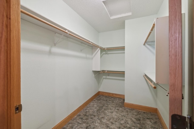 5301 Pine Beach Rd, Brainerd, MN 56401 - spacious closet with carpet floors
