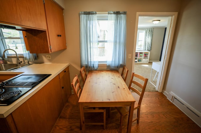 dining room with light wood-style floors and a baseboard radiator