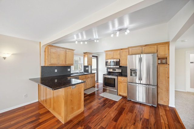 19797 612th Ave, Litchfield, MN 55355 - kitchen featuring stainless steel appliances, a peninsula, a sink, and baseboards