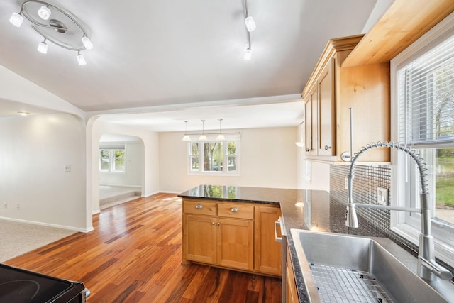 19797 612th Ave, Litchfield, MN 55355 - kitchen with a sink, rail lighting, a peninsula, wood finished floors, and arched walkways