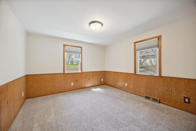 19797 612th Ave, Litchfield, MN 55355 - carpeted empty room featuring wainscoting and wood walls