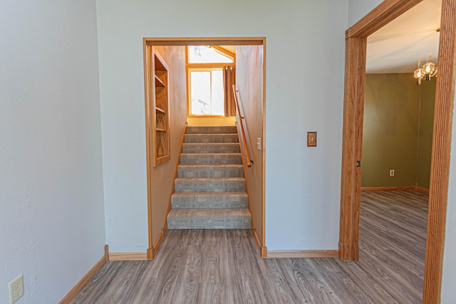16488 County 50, Long Prairie, MN 56347 - photo 25