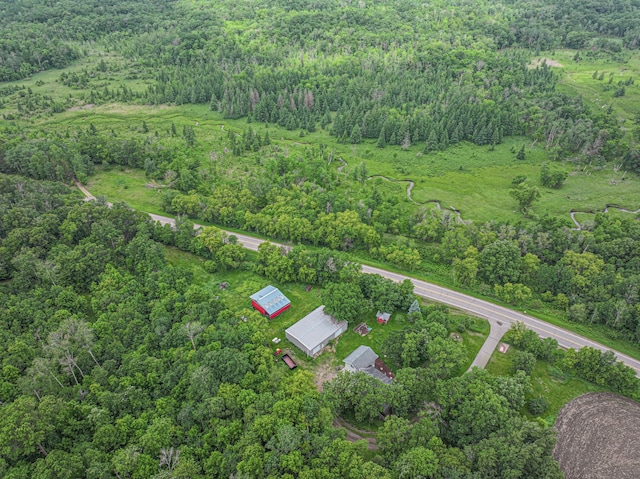 16488 County 50, Long Prairie, MN 56347 - photo 54