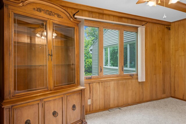 615 9th Ave SW, Faribault, MN 55021 - detailed view of wooden walls, ceiling fan, carpet flooring, and baseboards