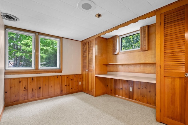 615 9th Ave SW, Faribault, MN 55021 - carpeted empty room with wooden walls and baseboards