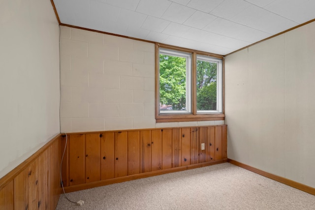 615 9th Ave SW, Faribault, MN 55021 - empty room featuring crown molding, wood walls, and light colored carpet