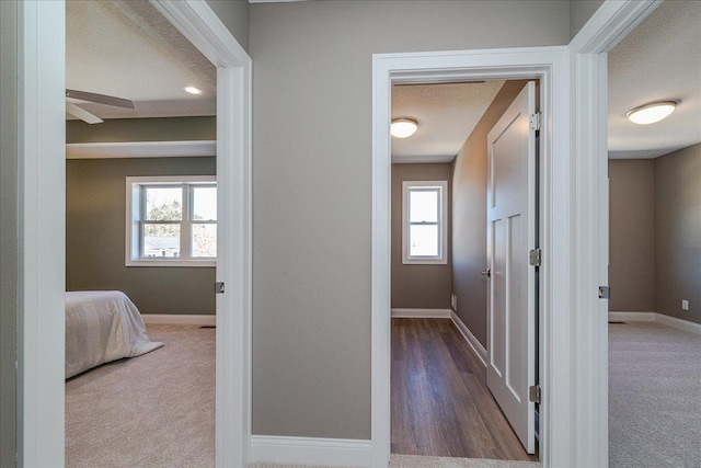 corridor with carpet flooring, baseboards, and a healthy amount of sunlight
