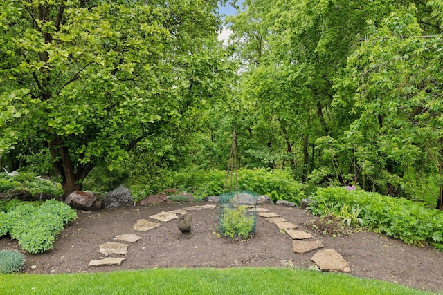 809 Saint Moritz, Victoria, MN 55386 - view of yard