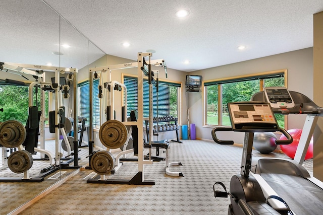 809 Saint Moritz, Victoria, MN 55386 - gym featuring carpet floors, recessed lighting, a textured ceiling, and vaulted ceiling