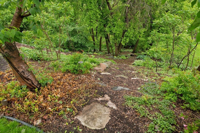 809 Saint Moritz, Victoria, MN 55386 - view of nature