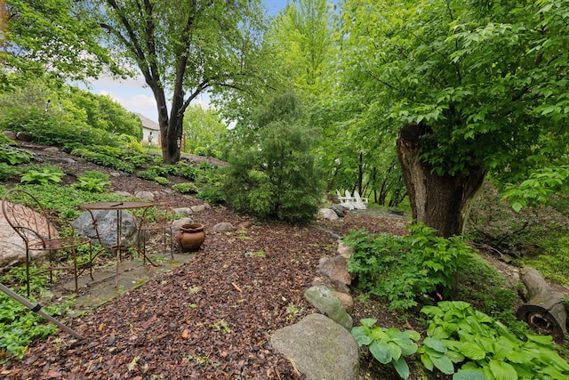 809 Saint Moritz, Victoria, MN 55386 - view of yard
