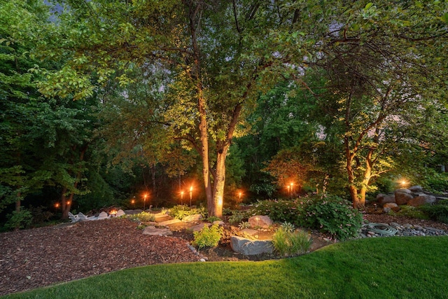 809 Saint Moritz, Victoria, MN 55386 - view of green lawn