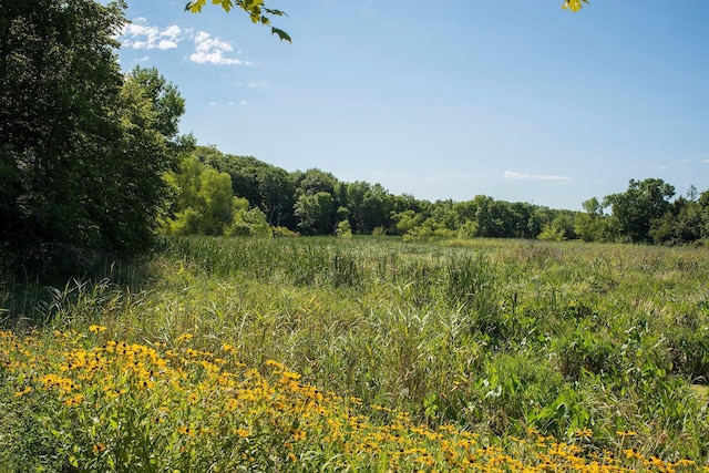 809 Saint Moritz, Victoria, MN 55386 - view of tree filled area
