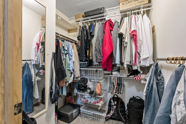 spacious closet with carpet floors