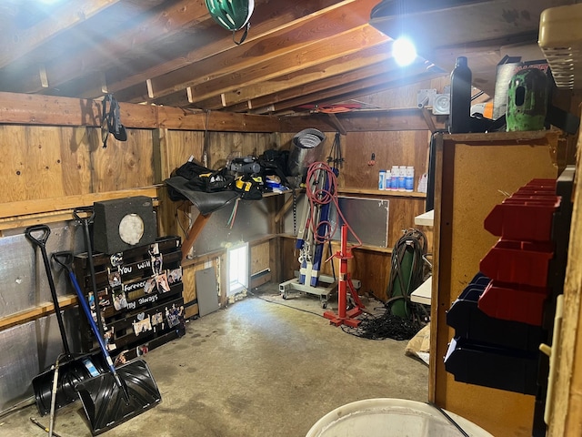 822 Holcombe Ave N, Litchfield, MN 55355 - unfinished basement with wooden walls